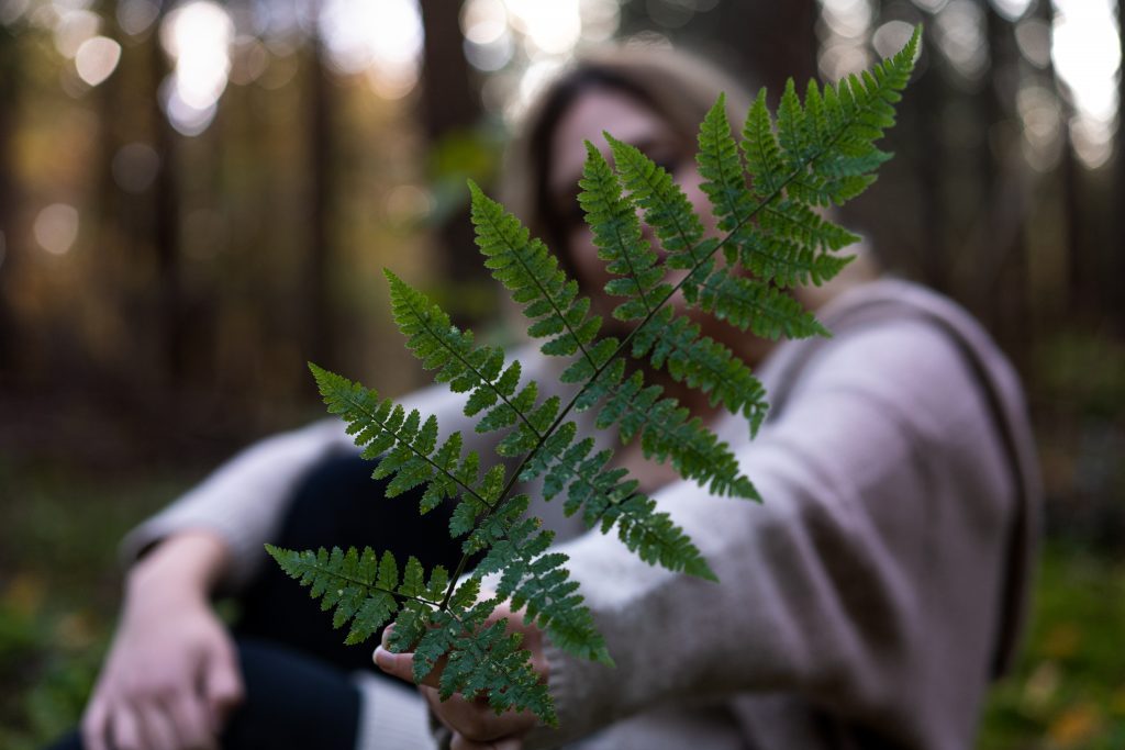 Laura Dillschneider Fotografie